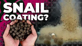 USING SNAILS 🐌 TO BOOST YOUR BOILIES = BIG CARP TACTIC! 🔥