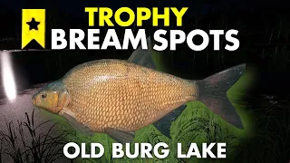 Russian Fishing 4 TROPHY BREAM SPOT Old Burg Lake