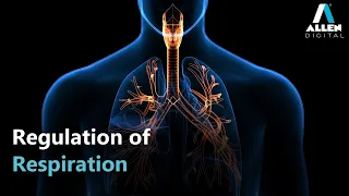 Breathing and Exchange of Gases | Regulation of Respiration | Biology | Live | ALLEN Digital