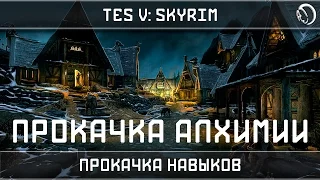 ГАЙД SKYRIM: МАКСИМАЛЬНО ЭФФЕКТИВНАЯ ПРОКАЧКА АЛХИМИИ!