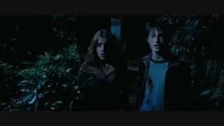 Harry Potter the Prisoner of Azkaban Harry Hermione part 2