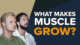 What makes muscle grow?