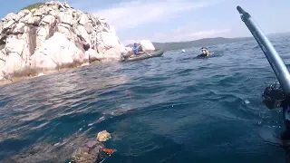 Триозезье. Тест пневмата Salvimar predator. Подводная Охота Приморский край