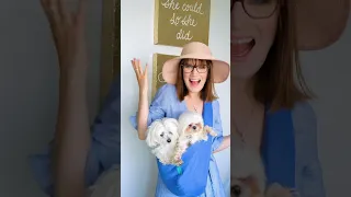 Long weekend is HERE!☀️ Summer Outfit + Hamptons @thesnuggitsac for my dogs, 🏷️ALICE10 #dogmom