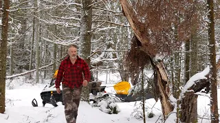 The First Log for the New Cabin | Off Grid | Cabin Build | Canadian Wilderness