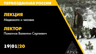 Лекторий АРХЭ на фестивале "Первозданная Россия", Пажетнов В.С.: Медвежата и человек