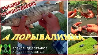 А порыбалимка. Рыбалка трижды удивила.