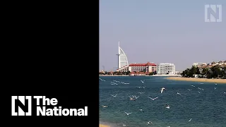 Should I move to Palm Jumeirah and how much will it cost?