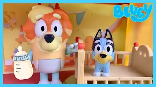 Bluey Bingo Baby and Mini Bluey  UNCLE RAD episode! | DISNEY JR - BLUEY AND BABY BINGO Toys