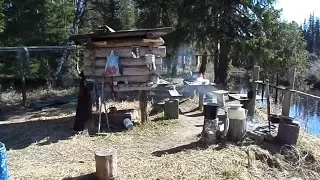 Лесная изба в глухой тайге. Forest hut in the deep taiga.