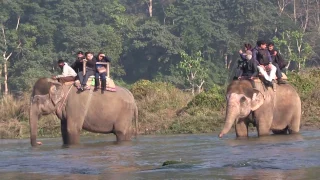 Nepal: exploring Chitwan National Park