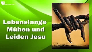 MEINE LEBENSLANGEN MÜHEN & LEIDEN ❤️ LEHRGANG VON JESUS CHRISTUS