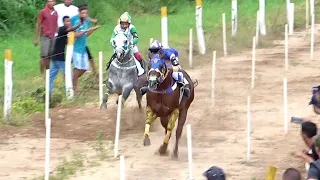 DESAFIO em Ribeiro Gonçalves do Piauí (Corrida de Cavalos) #corridadecavalos