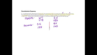 Recombination Frequency Sample Problem