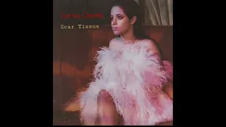Camila Cabello - scar tissue