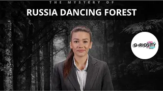 The Mystery of the Dancing Forest: Uncovering the Secrets of Russia's Strange Phenomenon