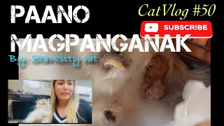 PAANO MAGPANGANAK NG PUSA | 1st TIME MANGANAK NG PUSA | CatVlog#50 #catgivingbirth #pregnantcat