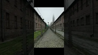 Auschwitz - Birkenau Nazi Kampı / Bir insan ne kadar acıya dayanabilir? 2 - Polonya