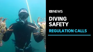 What is hookah diving, and why does it have experts worried? | ABC News