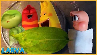 🅽🅴🆆  LARVA CARTOON 2023 : Larva Family |   The Best Of Funny Cartoons Box