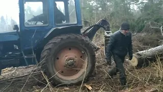 Валка леса, трелёвка леса. Трелюем лес,,,, поломался трактор 🚜,,, telling the forest,,, Walz week...