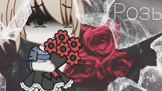 Клип "розы"