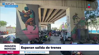 Migrantes esperan salir de Irapuato, Guanajuato, hacia la frontera | Noticias con Crystal Mendivil