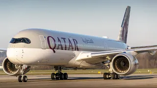 ‘No believable reason’: Flight Centre CEO criticises government’s Qatar Airways decision