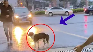 In the rain, she stood in front of the restaurant with a pregnant belly, begging for help