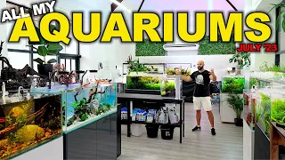 I LOVE My Studio | 20 aquascapes, 1000's of Fish: Cichlids, Tetra, Nano Fish (Full Tour July '23)