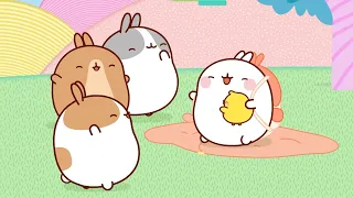 Molang - The Campers | Funny Cartoons For Kids