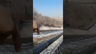 Мини речка #Вода #Алматы #Сайран