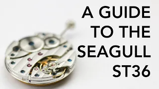 SEAGULL ST36 / 3600 REVIEW - All You Need To Know (ETA 6497 / 6498)