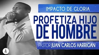 PROFETIZA HIJO DE HOMBRE | Pastor Juan Carlos Harrigan |