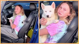 New Puppy Surprise Compilation 2024 | Wholesome Surprise Moments