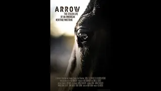 2021 EQUUS Film & Arts Fest - Arrow The Stolen Life Of An American Heritage Mustang - Trailer