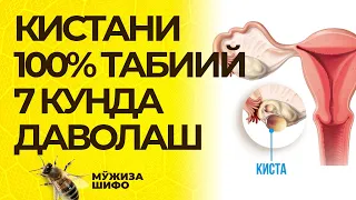 КИСТАНИ 100% ТАБИИЙ 7 КУНДА ДАВОЛАШ. #kista, #мужиза, #шифо