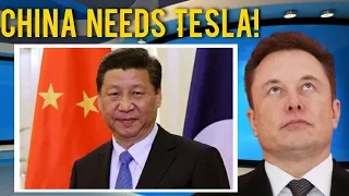 THIS IS INSANE, But China's Reaction Will Not Stop Tesla's Expansion!