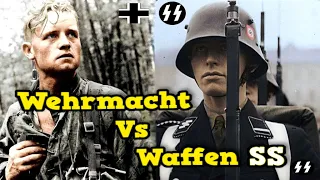 What did Rommel, Guderian and Manstein think about the Waffen SS?? His Harsh Appraisal...