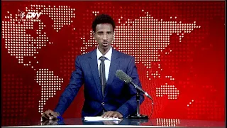 DW International ትግርኛ ዜና ሰዓት 12:30 ፣ 22 ጥቅምት 2016 ዓ/ምwatch Live Streaming