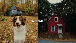 Dear Fall,