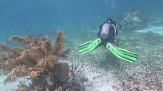 Cancun SCUBA 2024