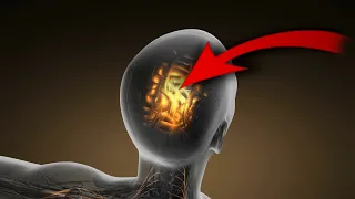 SCALP TINGLES at 2 Mins! (432 Hz) • ASMR Activation: Brain, Body & Spine Tingling Sensations