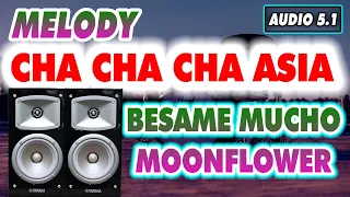 LK Cha Cha Cha ASIA HÒA TẤU Besame Mucho - Moonflower Âm Thanh Nổi 5.1