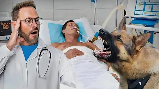 Dog Came To Say Goodbye To His Owner, He Notices Something Strange And Stops The Doctor