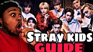 LONG (BUT UPDATED) 2022 GUIDE TO STRAYKIDS [REACTION]*