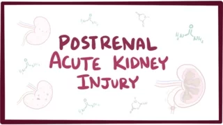 Postrenal acute kidney injury (acute renal failure) - causes, symptoms, & pathology