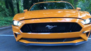 Best Detailed Walkaround 2018 Ford Mustang GT Coupe Premium