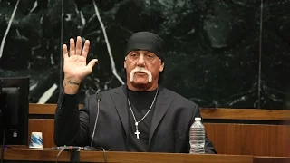 Gawker Media CEO: ‘I Wish I’d Known How Litigious Hulk Hogan Was’ | Fortune