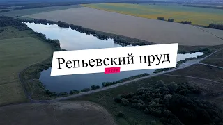 Репьёвский пруд летом.  Инза